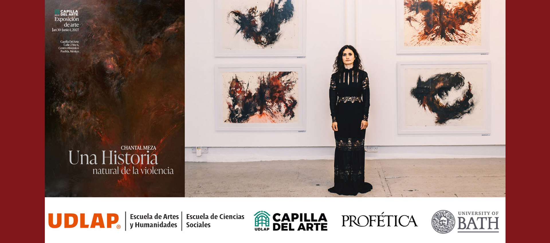 Exposición Chantal Meza – A Natural History of Violence